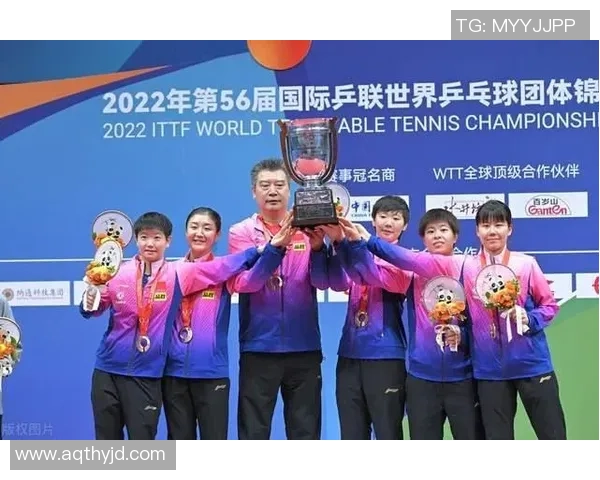 成都乒乓球队团队协作表现的数据分析与提升策略探讨